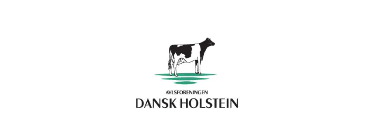 Holstein rsmde