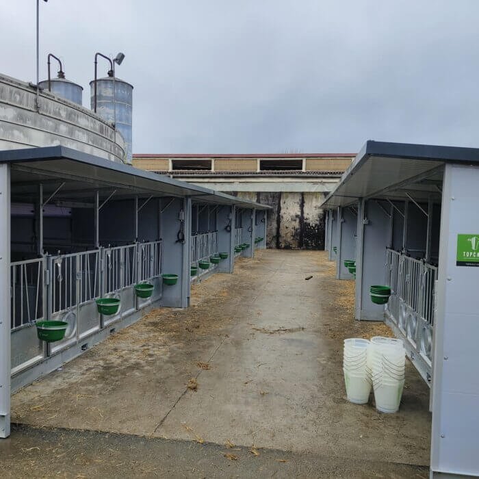 QUINTO XL KALVEHYTTE