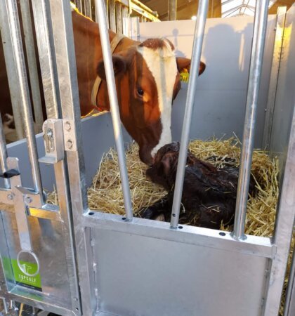 Topcalf MONO First Care