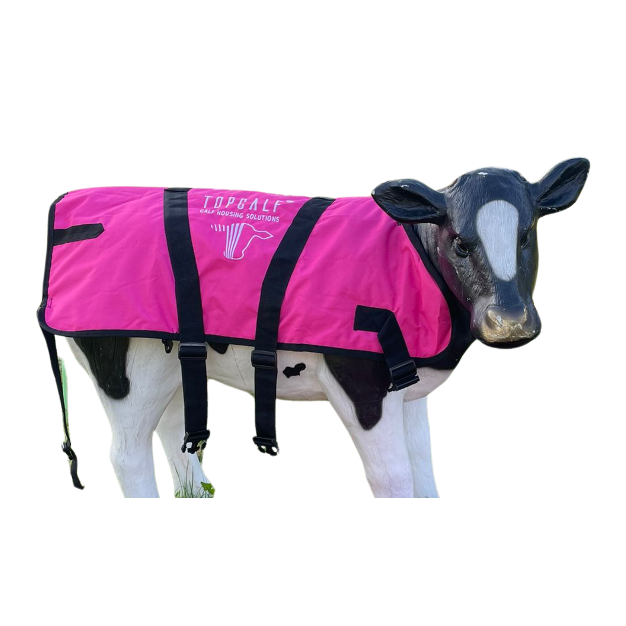 Kalvejakke Pink -  L