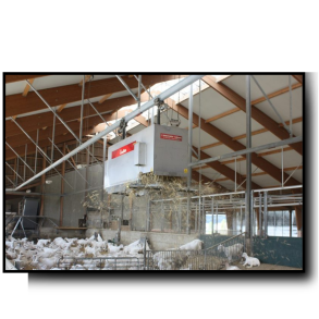 Dybstrøelse Får/Geder