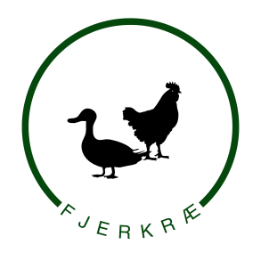 Fjerkræ