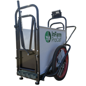 Kalvetransport