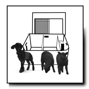 Kuvøse til lam og kid